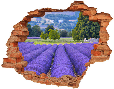 Vinilo pared rota 3d efecto realista Campos de lavanda en Provenza