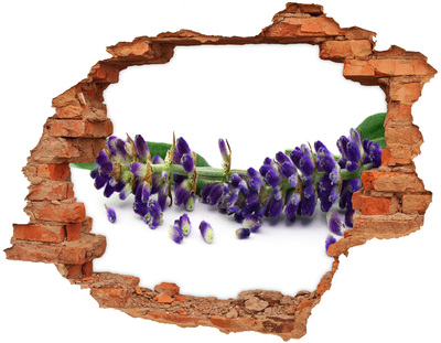 Vinilo pared rota 3d efecto realista Flor de lavanda a través de un agujero en la pared