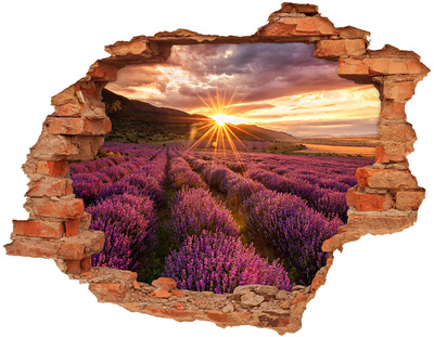 Vinilo pared rota 3d efecto realista Campo de lavanda al atardecer