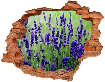 Trampantojo de pared rota efecto profundidad prado de flores de lavanda