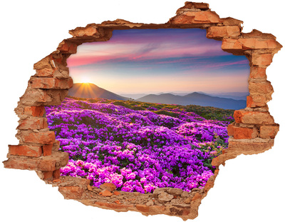 Vinilo pared rota 3d efecto realista Paisaje floral en las montañas