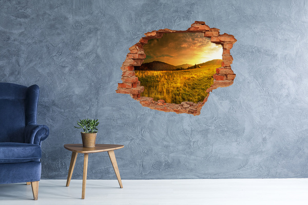 Pegatina de vinilo agujero 3d para pared Prado dorado al atardecer