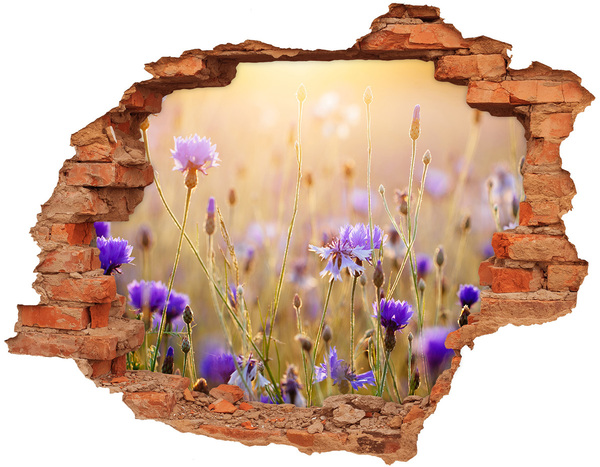 Vinilo pared rota 3d efecto realista Un paraíso de flores detrás del muro