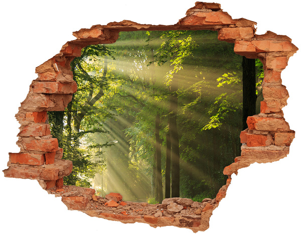 Trampantojo de pared rota efecto profundidad Oasis de luz en el bosque