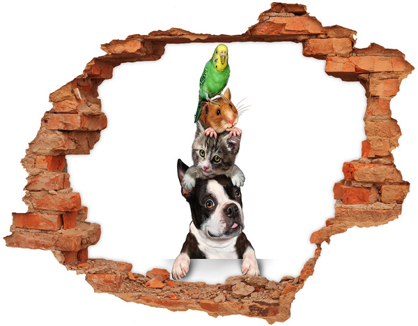 Trampantojo de pared rota efecto profundidad Torre de la Amistad Animal