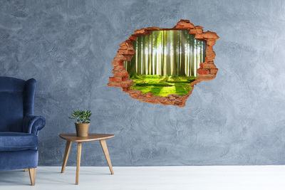 Pegatina de vinilo agujero 3d para pared Bosque verde con rayos de sol