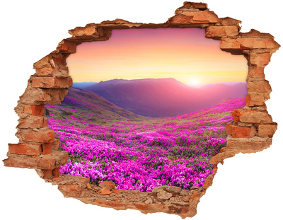 Trampantojo de pared rota efecto profundidad Valle de las flores al atardecer