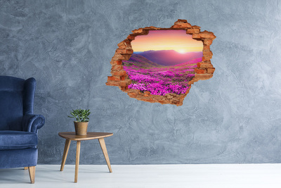 Trampantojo de pared rota efecto profundidad Valle de las flores al atardecer