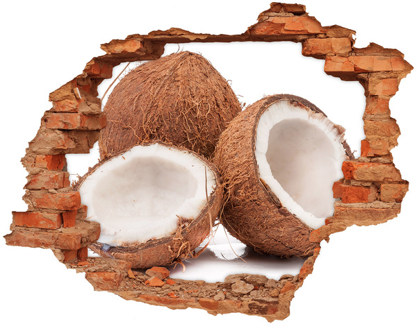 Trampantojo de pared rota efecto profundidad Tesoros de coco