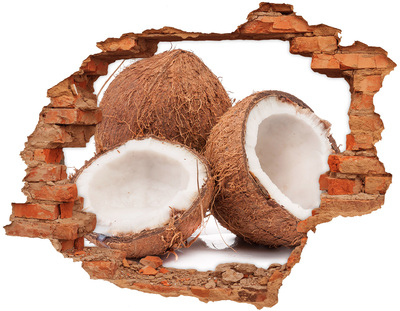 Trampantojo de pared rota efecto profundidad Tesoros de coco