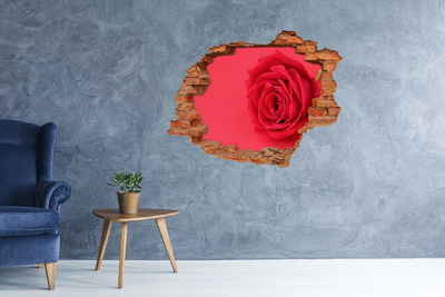 Pegatina de vinilo agujero 3d para pared Ilusión floral en hormigón