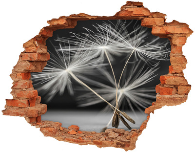 Samoprzylepna dziura naklejka Kwiaty dmuchawca w betonie