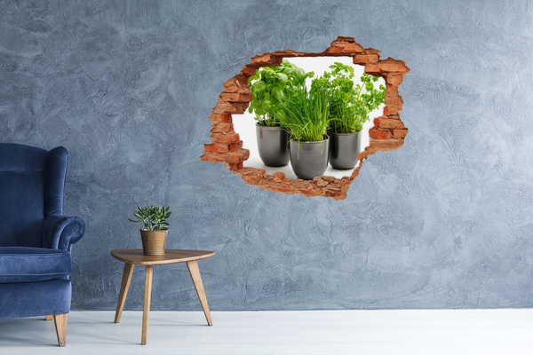 Pegatina de vinilo agujero 3d para pared Jardín verde en macetas