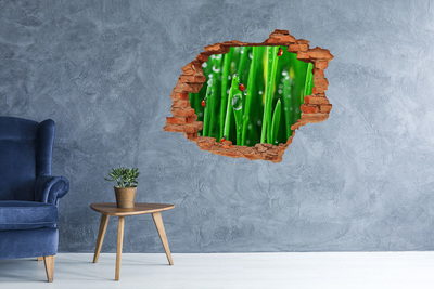 Vinilo pared rota 3d efecto realista Una gota de rocío sobre la hierba con una mariquita