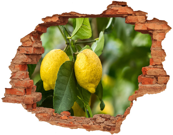 Trampantojo de pared rota efecto profundidad Jardín de limones detrás del muro