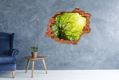 Pegatina de vinilo agujero 3d para pared Bosque verde bajo los rayos del sol