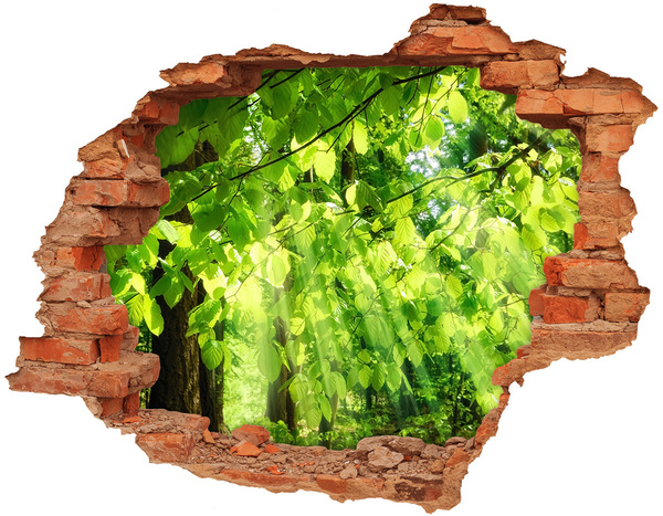 Pegatina de vinilo agujero 3d para pared Bosque verde bajo los rayos del sol
