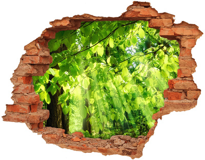 Pegatina de vinilo agujero 3d para pared Bosque verde bajo los rayos del sol