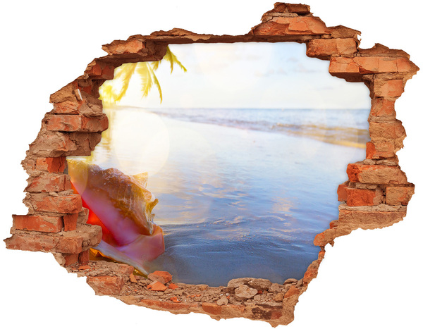 Vinilo pared rota 3d efecto realista Playa tropical con conchas