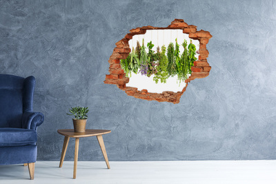 Vinilo pared rota 3d efecto realista Oasis verde con hierbas