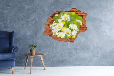 Pegatina de vinilo agujero 3d para pared Flores en el prado