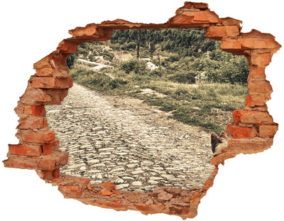 Trampantojo de pared rota efecto profundidad Un encantador camino rural