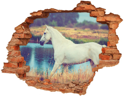 Trampantojo de pared rota efecto profundidad Caballo blanco junto al lago