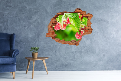 Trampantojo de pared rota efecto profundidad Frambuesas en el jardín