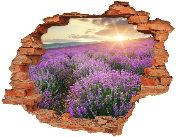Vinilo pared rota 3d efecto realista Campo de lavanda al amanecer