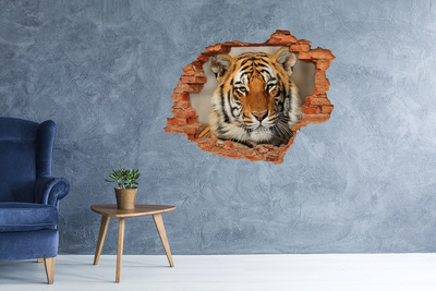 Pegatina de vinilo agujero 3d para pared Tigre en un agujero en la pared