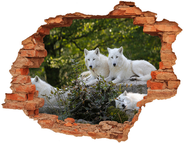 Vinilo pared rota 3d efecto realista Lobos árticos en un hábitat natural