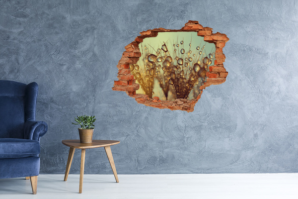 Trampantojo de pared rota efecto profundidad Gotas sobre cabellos delicados