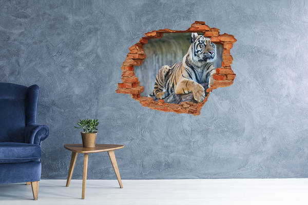 Vinilo pared rota 3d efecto realista Tigre en estado salvaje
