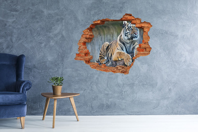 Vinilo pared rota 3d efecto realista Tigre en estado salvaje