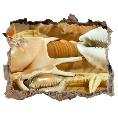 Samoprzylepna dziura na ścianę Skarby morskie