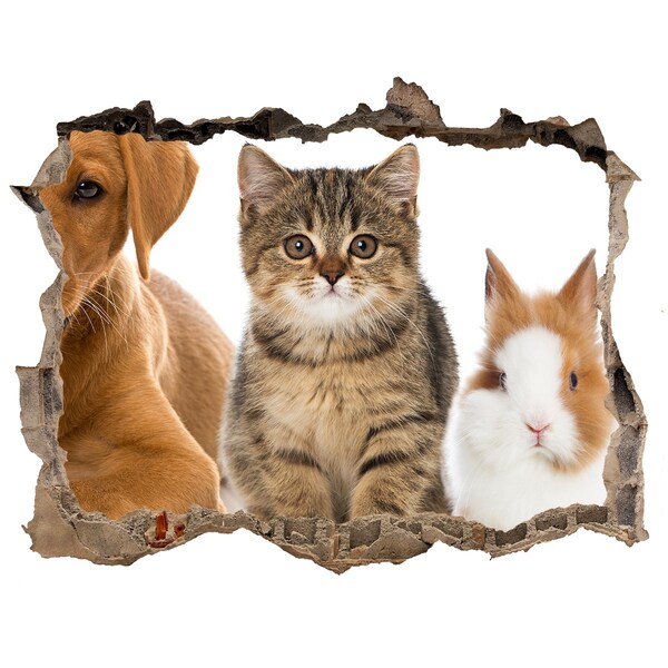 Vinilo pared rota 3d efecto realista Amigos para siempre