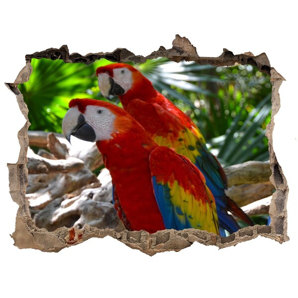 Pegatina de vinilo agujero 3d para pared Loros tropicales en la selva
