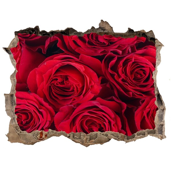 Pegatina agujero en la pared autoadhesiva Rosas en una pared en ruinas