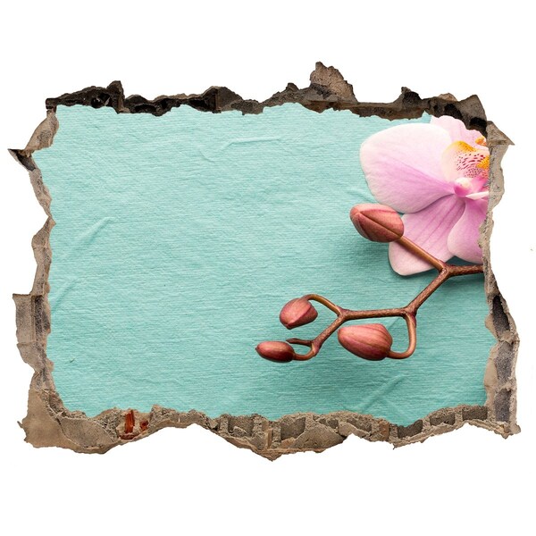 Samoprzylepna naklejka fototapeta Kwiat orchidei w uszkodzonej ścianie