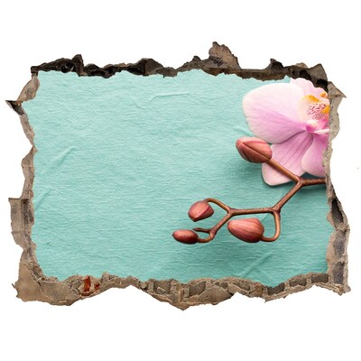 Trampantojo de pared rota efecto profundidad Flor de orquídea en una pared dañada