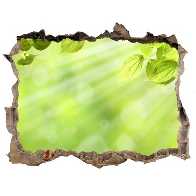 Pegatina agujero en la pared autoadhesiva Paraíso verde detrás del muro