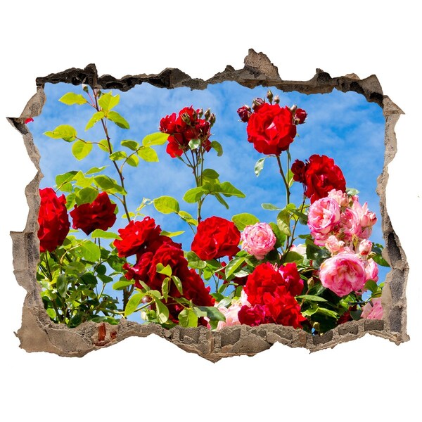 Vinilo pared rota 3d efecto realista Flores al sol