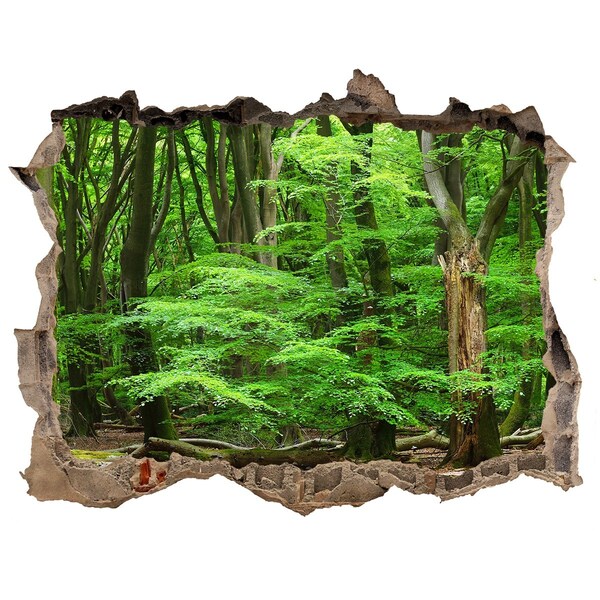 Pegatina de vinilo agujero 3d para pared Bosque verde en un agujero en la pared