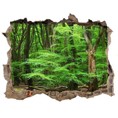 Pegatina de vinilo agujero 3d para pared Bosque verde en un agujero en la pared
