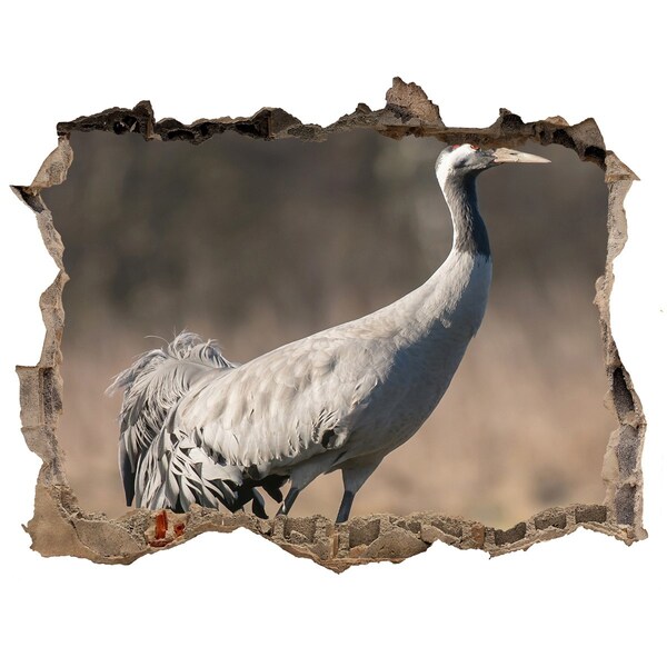 Pegatina de vinilo agujero 3d para pared Grulla en su hábitat natural