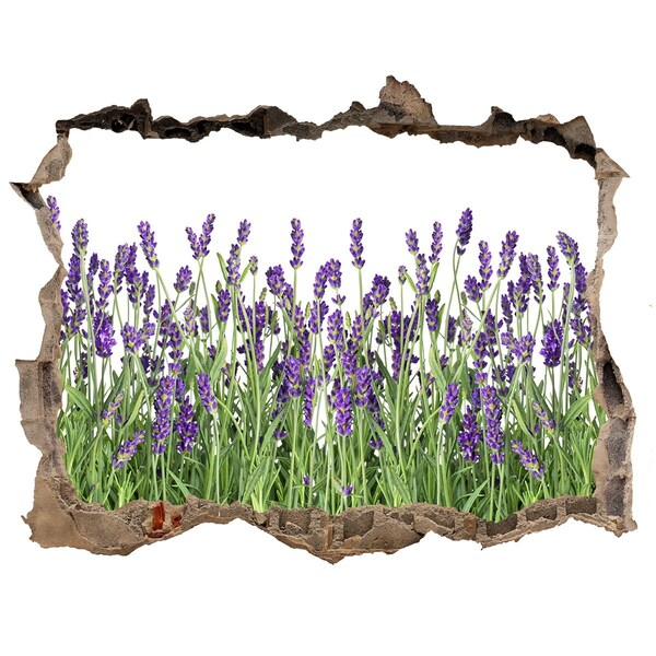 Vinilo pared rota 3d efecto realista Oasis floral de lavanda