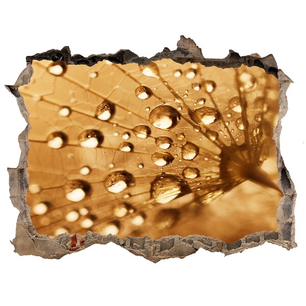 Vinilo pared rota 3d efecto realista Gotas sobre una hoja