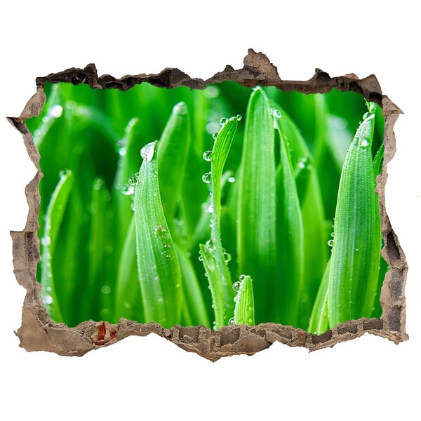 Trampantojo de pared rota efecto profundidad Prado verde con gotas de agua