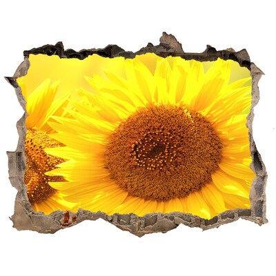 Pegatina de vinilo agujero 3d para pared Girasol en hormigón