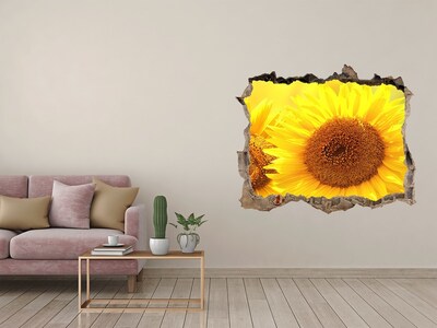 Pegatina de vinilo agujero 3d para pared Girasol en hormigón